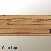 glossary_lapcore